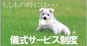 全国葬儀サービス画像